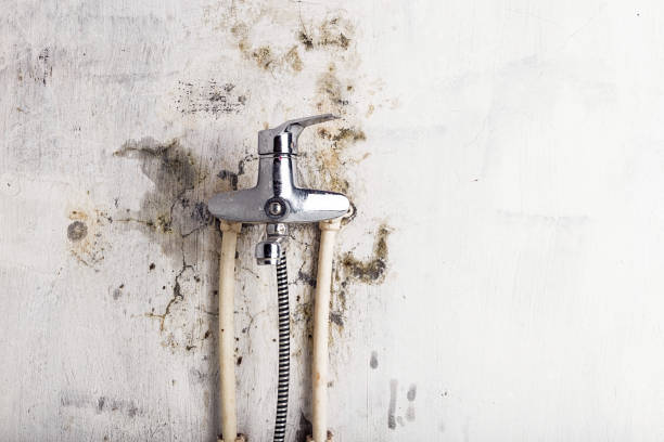 Best Water Damage Restoration  in Emerald Bay, TX